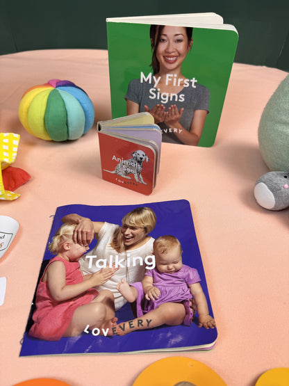 Lovevery Montessori Toddler Toy Bundle Object Permanence Books Ball Hide & Seek #921